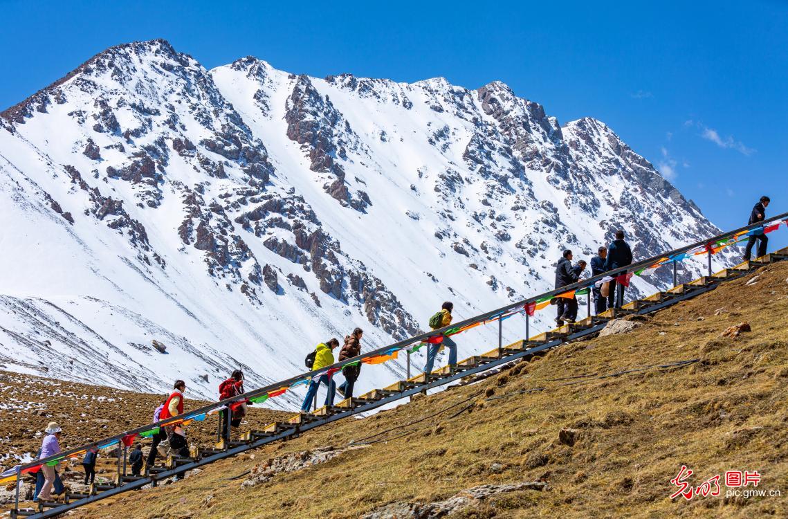 Early summer scenery of Bars Snow Mountain draws visitors in NW China's Gansu Early summer scenery of Bars Snow Mountain draws visitors in NW China's Gansu