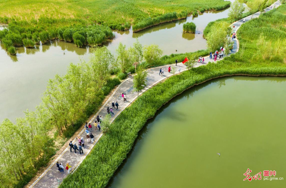 Scenic tour at Zhangye National Wetland Park Scenic tour at Zhangye National Wetland Park