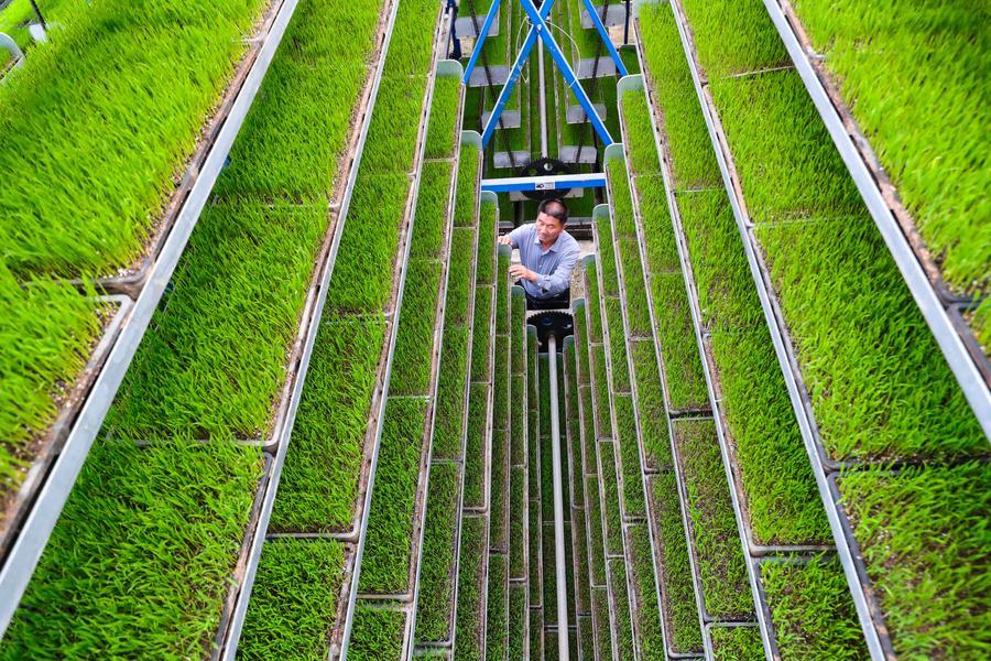 Online Gallery | AI commercial application burgeoning all over China