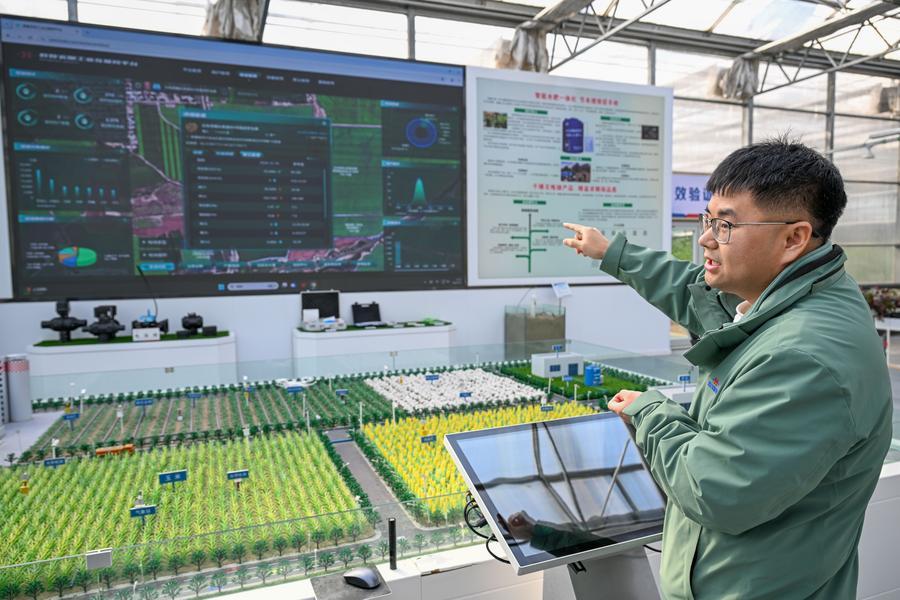 Online Gallery | AI commercial application burgeoning all over China