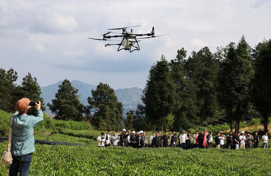 Online Gallery | AI commercial application burgeoning all over China