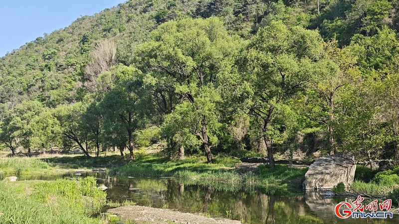 Spring scenery flourishes at Lihua Valley in Beiijng