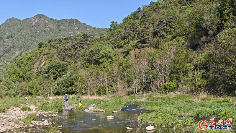 Spring scenery flourishes at Lihua Valley in Beiijng