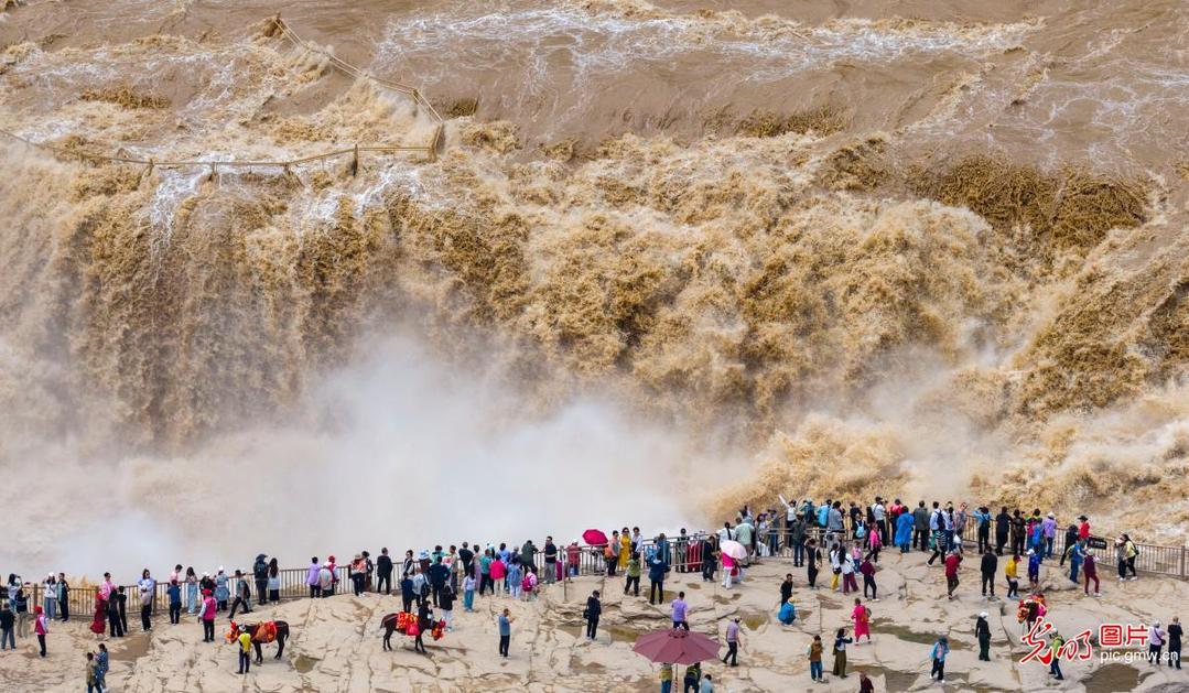Spectacular “golden cascades” presented in N China’s Shanxi Spectacular “golden cascades” presented in N China’s Shanxi