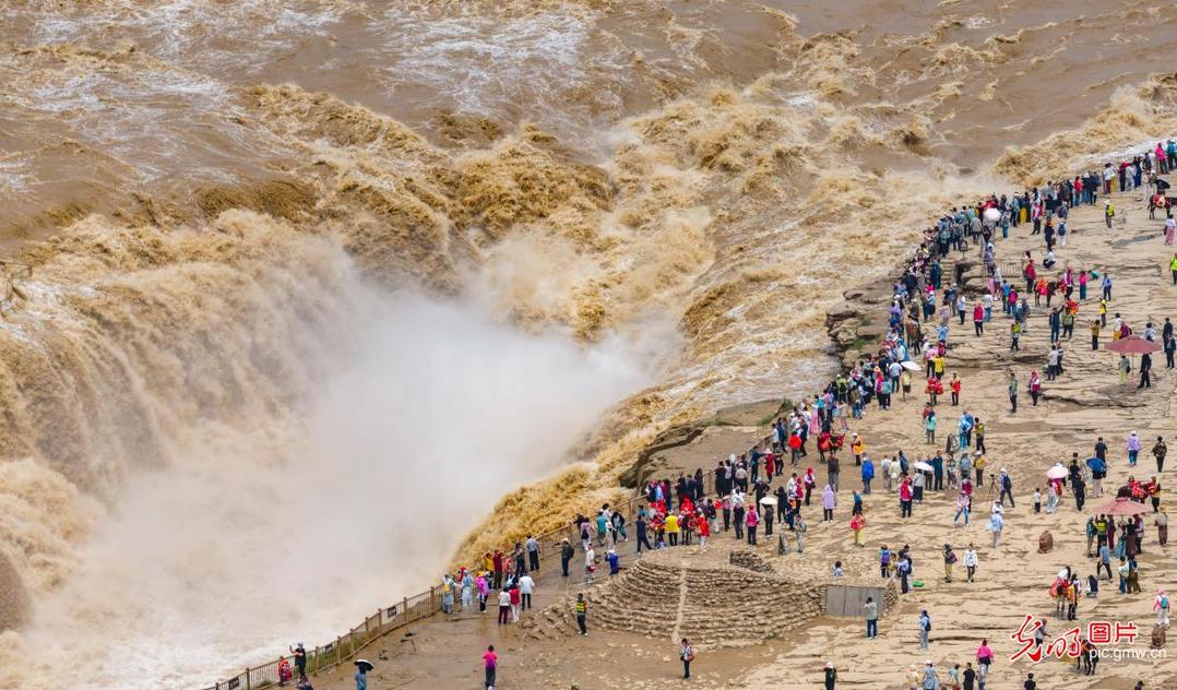 Spectacular “golden cascades” presented in N China’s Shanxi Spectacular “golden cascades” presented in N China’s Shanxi