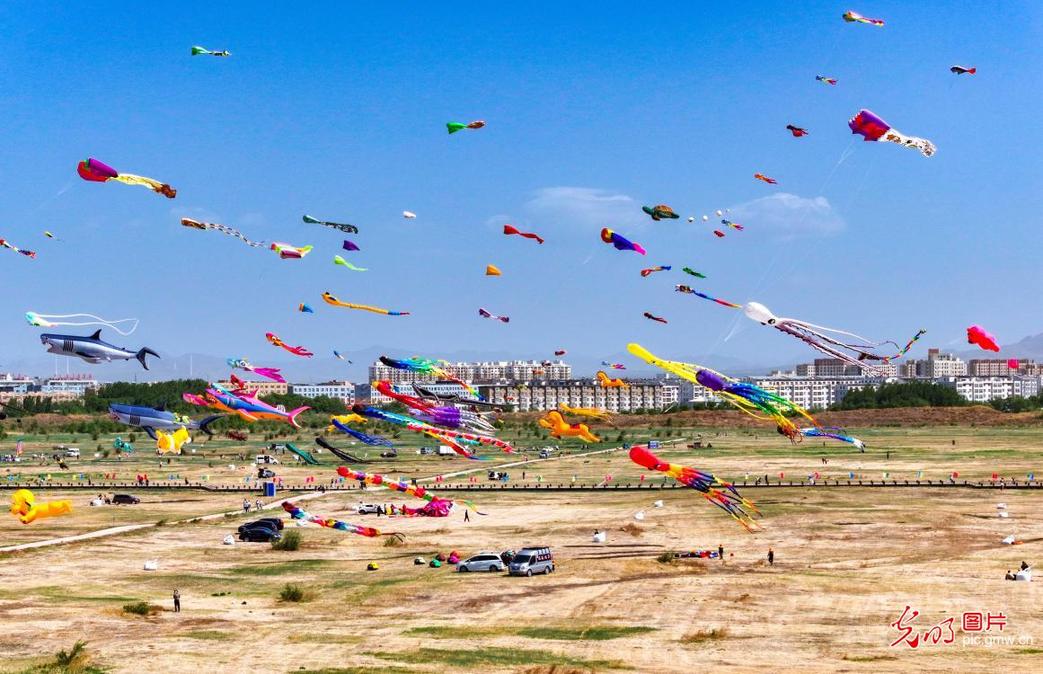Colorful kites soar across sky in Inner Mongolia Colorful kites soar across sky in Inner Mongolia