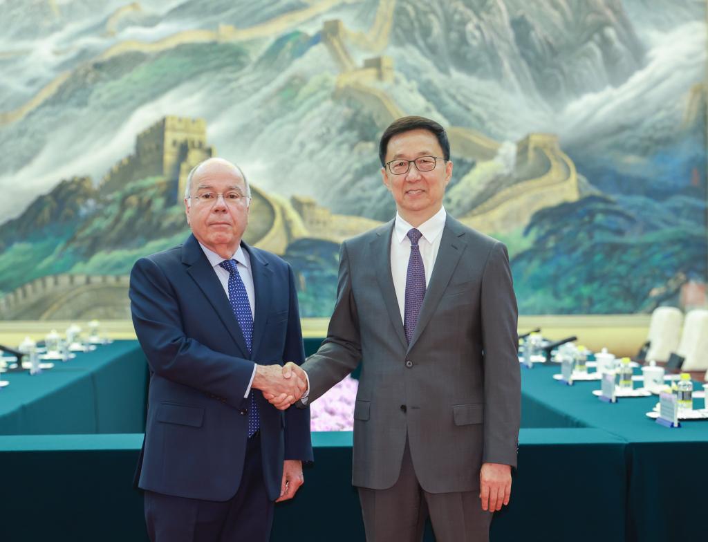 Chinese vice president meets Brazilian FM