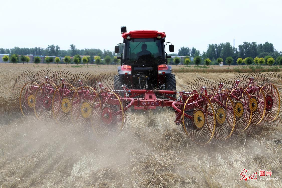 Wheat straw recycling underway in C China's Henan