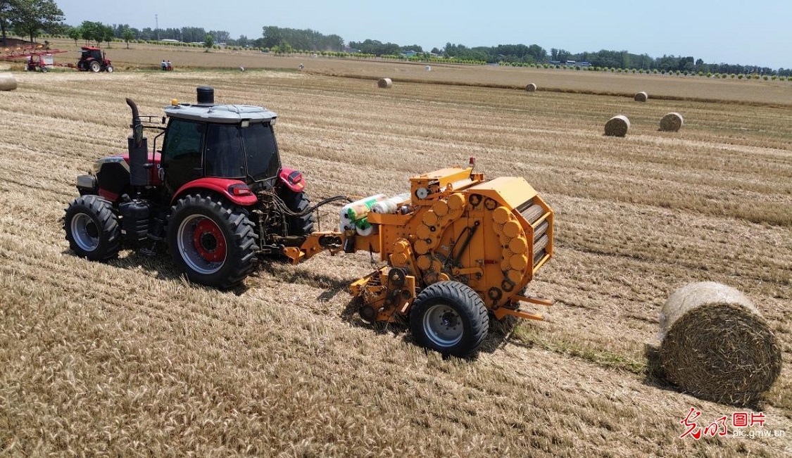 Wheat straw recycling underway in C China's Henan