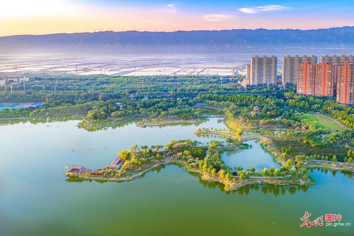Lakeside ecological scenery in Yuncheng Lakeside ecological scenery in Yuncheng