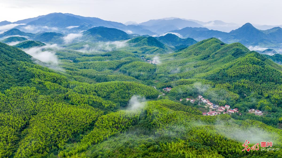 Misty mountains create fairyland scenery in E China's Anhui Misty mountains create fairyland scenery in E China's Anhui