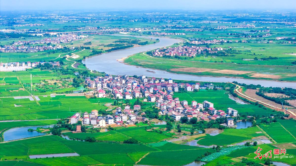 Summer countryside scenery enchants in E China's Jiangxi