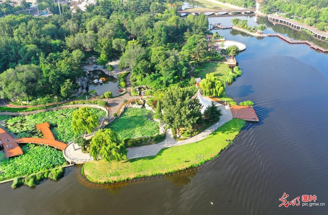 Ecological restoration boosts urban environment in E China's Shandong