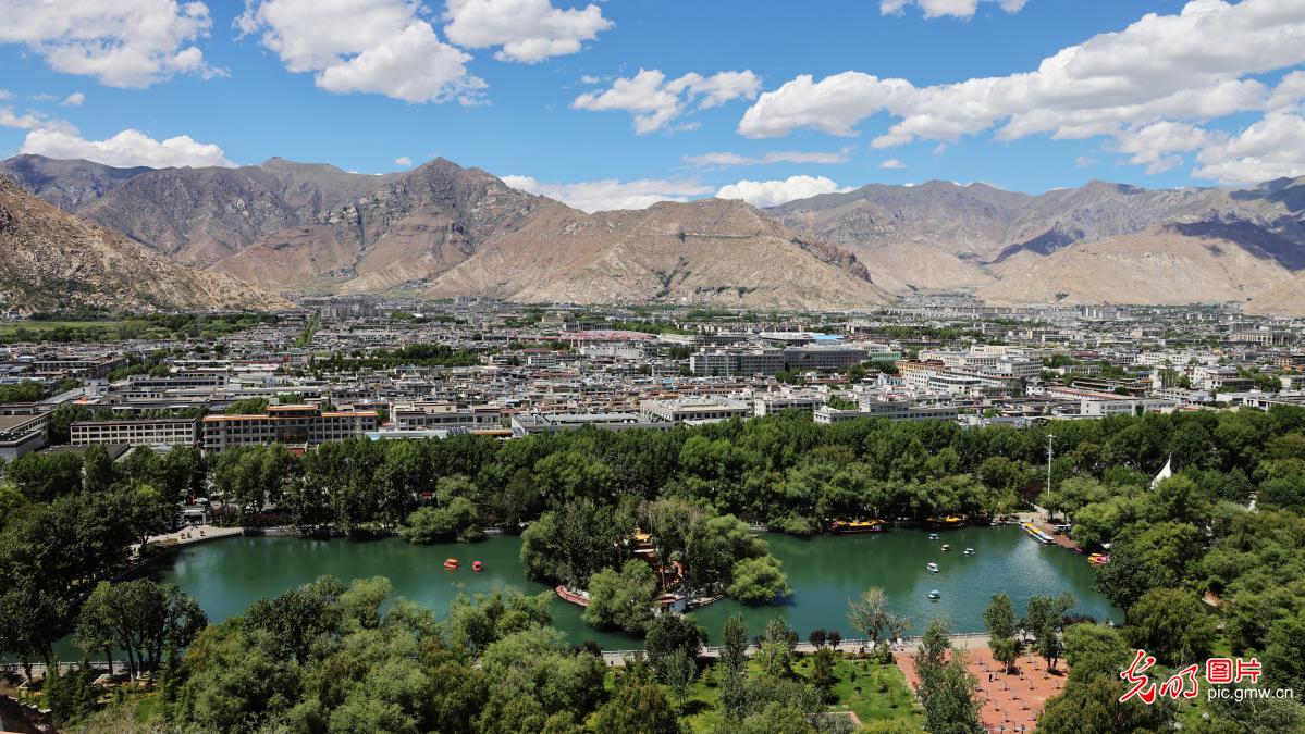 Midsummer scenery captivates in SW China's Xizang