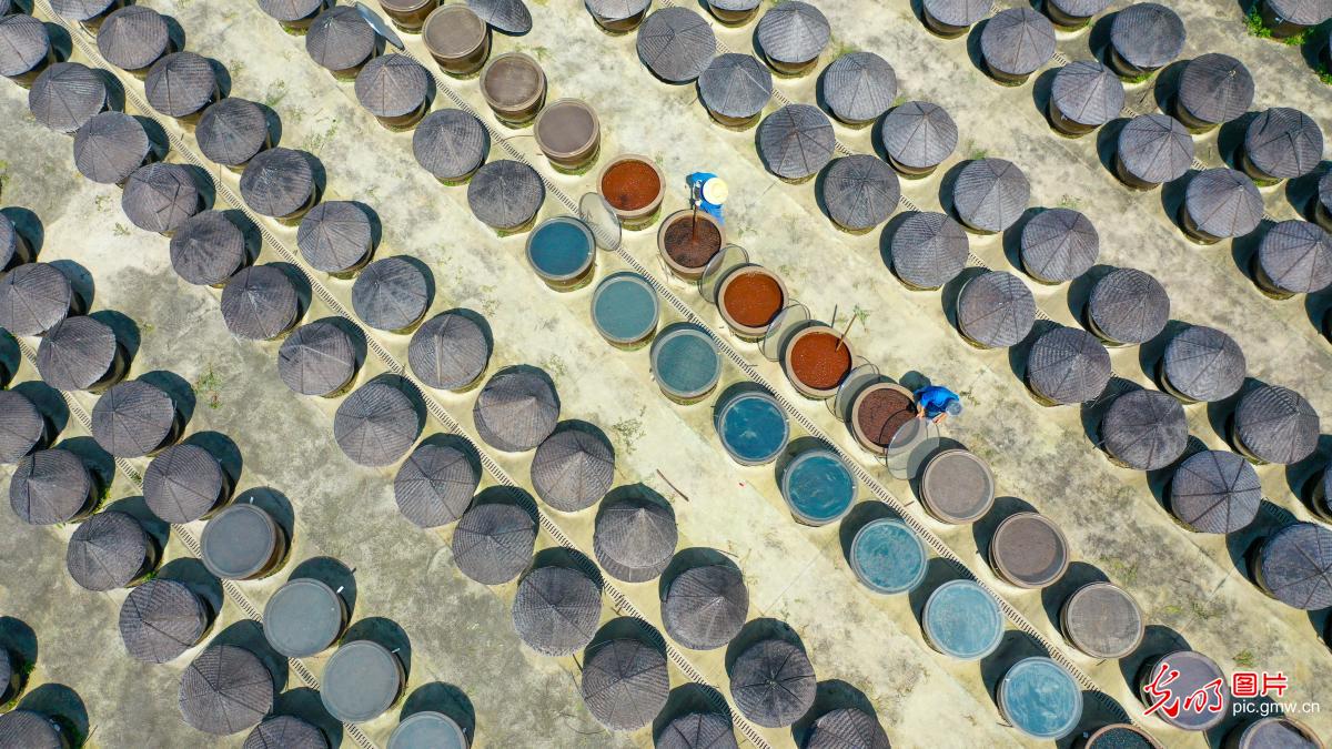 Traditional brewing technique in E China's Jiangsu
