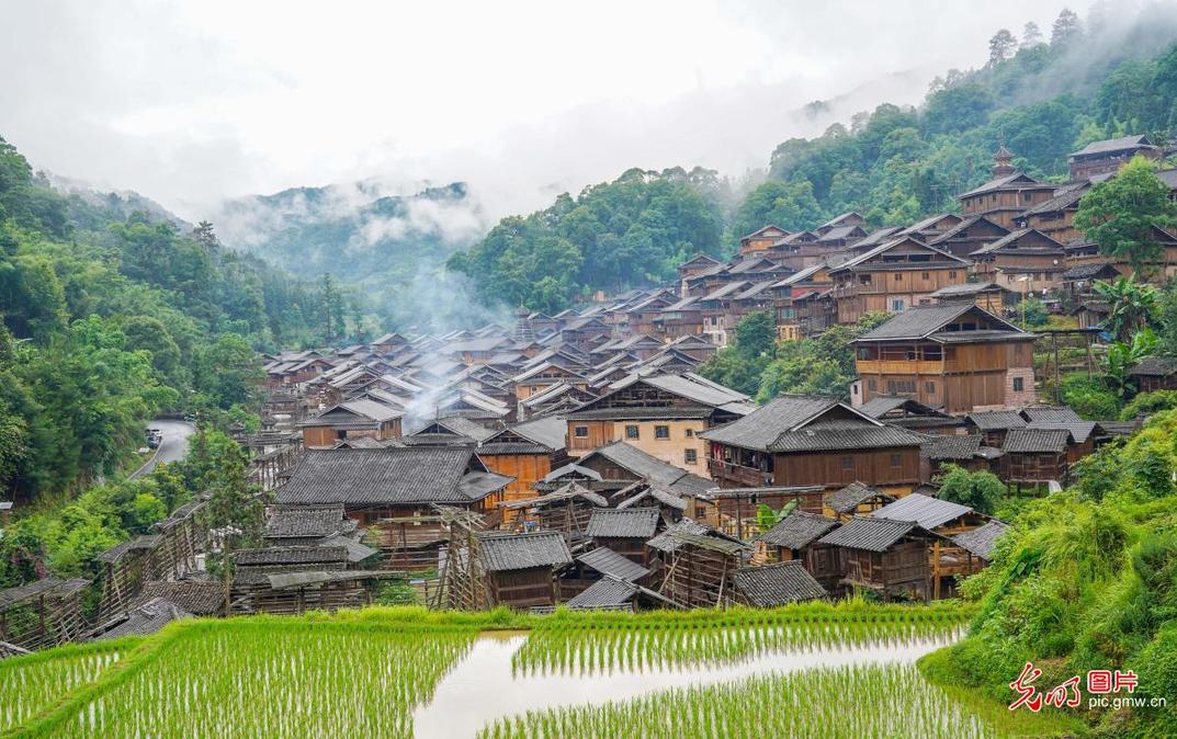 Misty Dong village framed by summer greenery in SW China