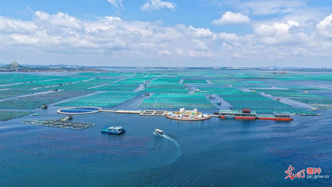 Eco-friendly marine ranches draw visitors in E China