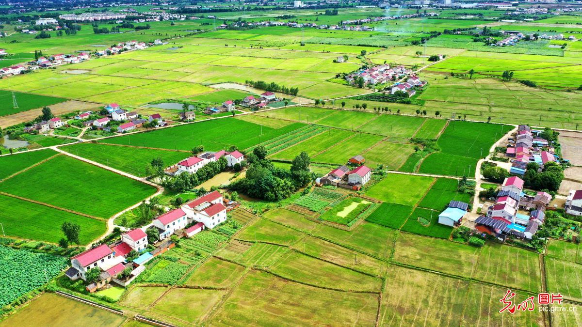 Picturesque rural scenery in E China's Anhui Picturesque rural scenery in E China's Anhui