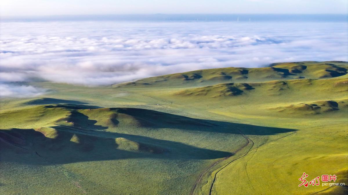 Mist shrouds grassland in N China's Inner Mongolia Mist shrouds grassland in N China's Inner Mongolia