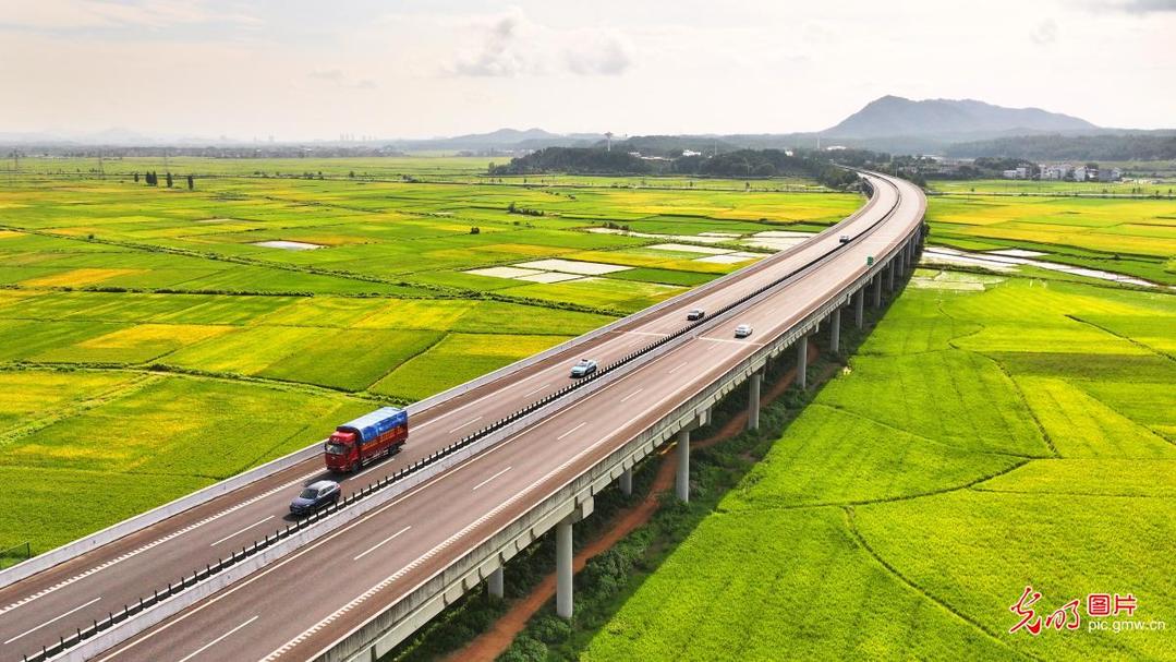 Highway winds through countryside in E China's Jiangxi