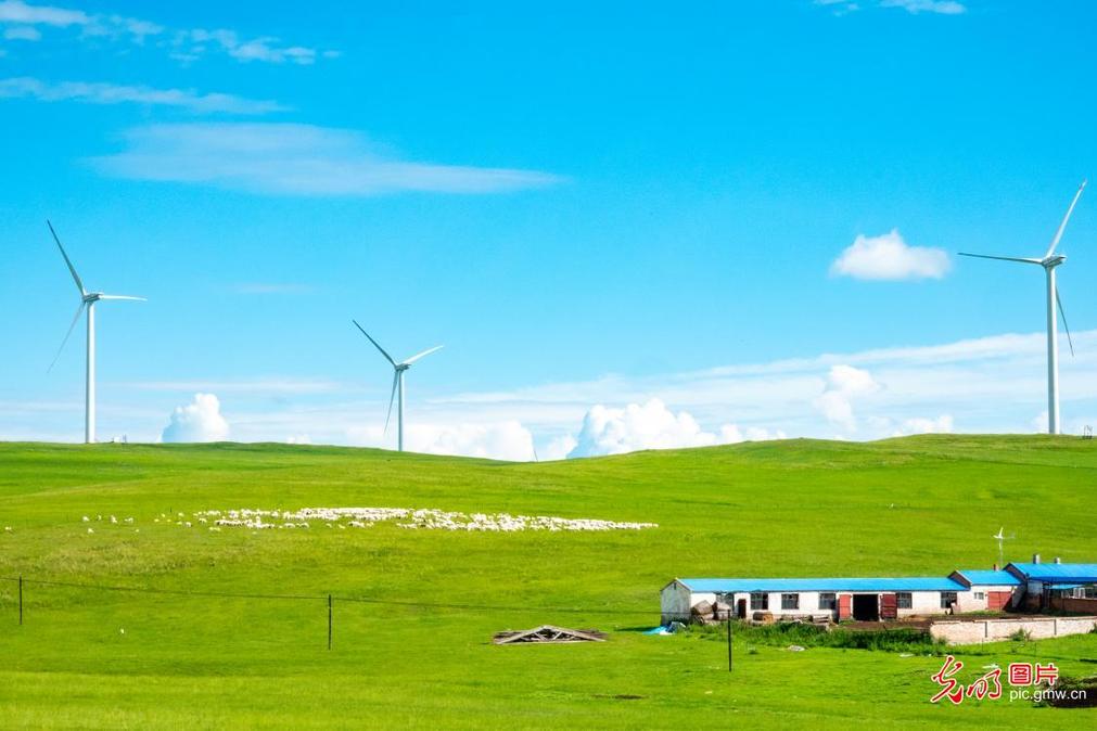 Picturesque Hulunbuir Grassland in midsummer Picturesque Hulunbuir Grassland in midsummer