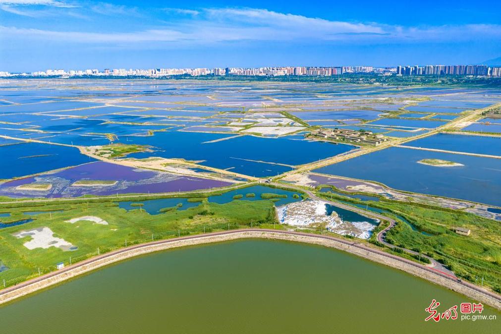 Restored wetland offers scenic summer views in N China's Shanxi Restored wetland offers scenic summer views in N China's Shanxi