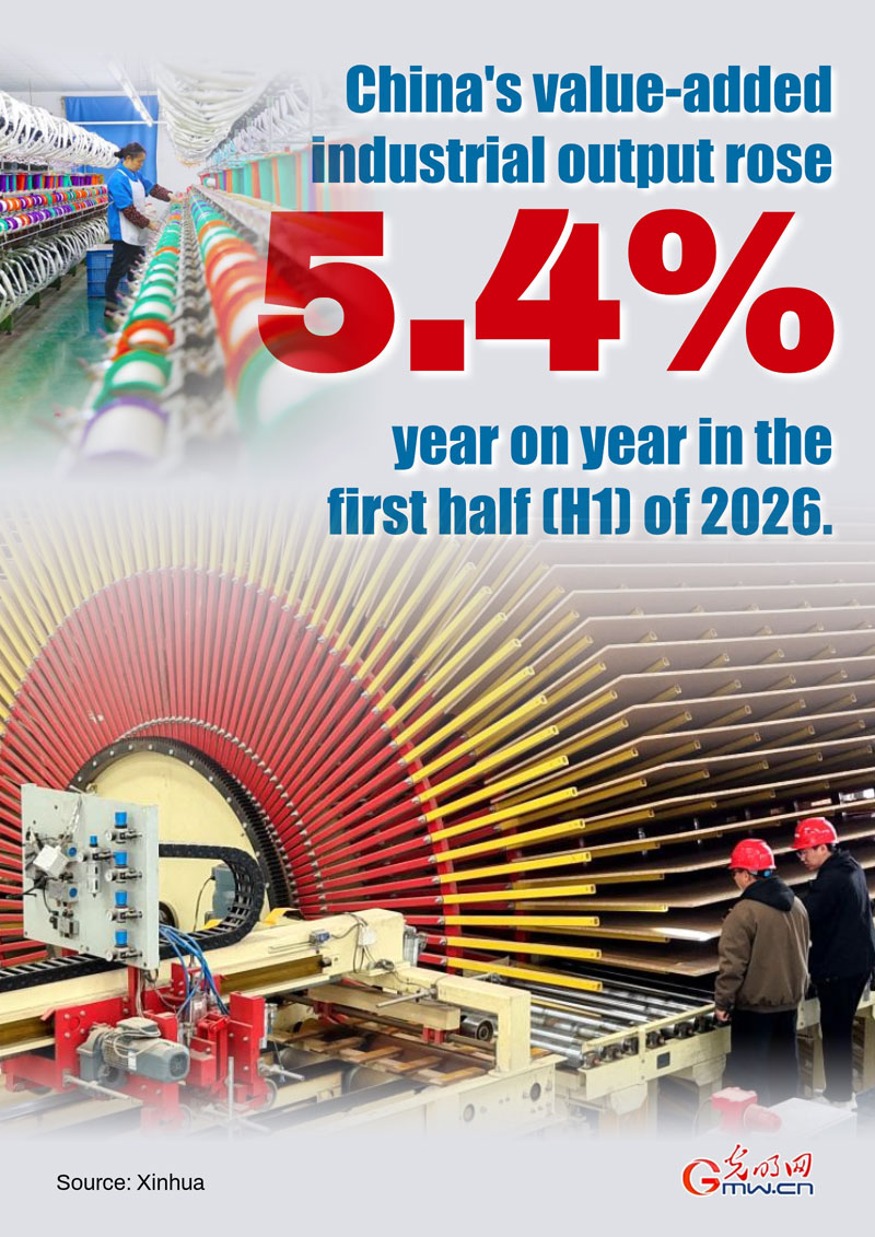 Poster: China's industrial output up 5.4% in H1