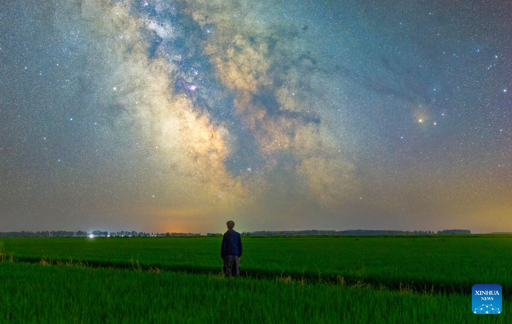 Milky Way sparkles over night sky in NE China's Heilongjiang