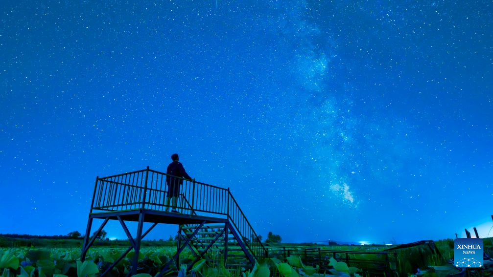 Milky Way sparkles over night sky in NE China's Heilongjiang