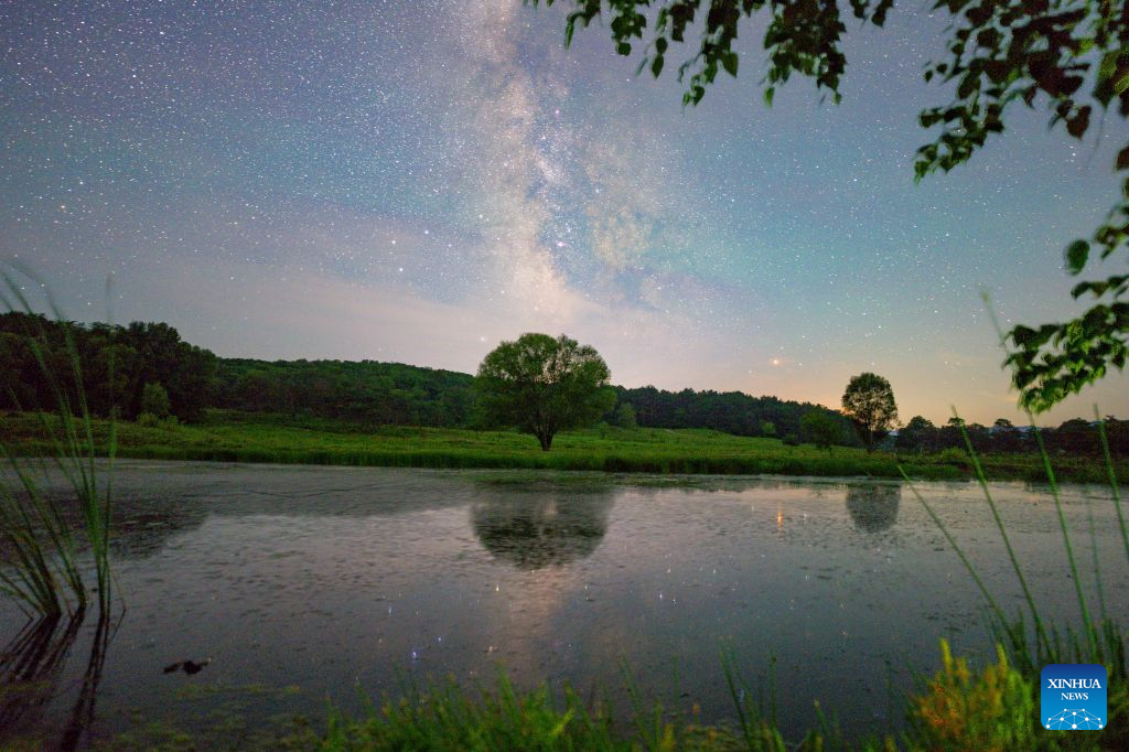 Milky Way sparkles over night sky in NE China's Heilongjiang