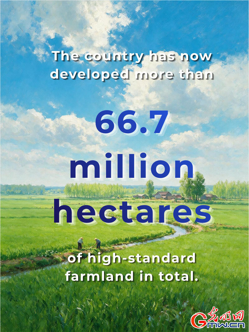 Posters: China's summer grain output exceeds 150 million tonnes Posters: China's summer grain output exceeds 150 million tonnes