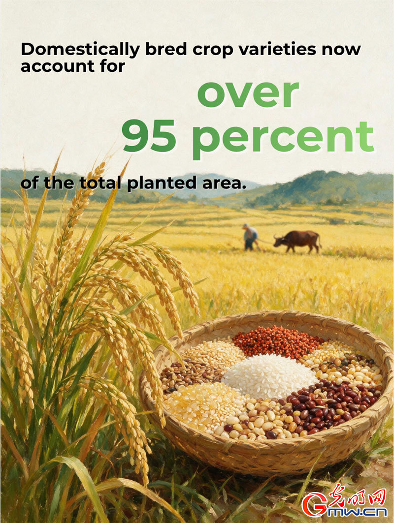 Posters: China's summer grain output exceeds 150 million tonnes Posters: China's summer grain output exceeds 150 million tonnes