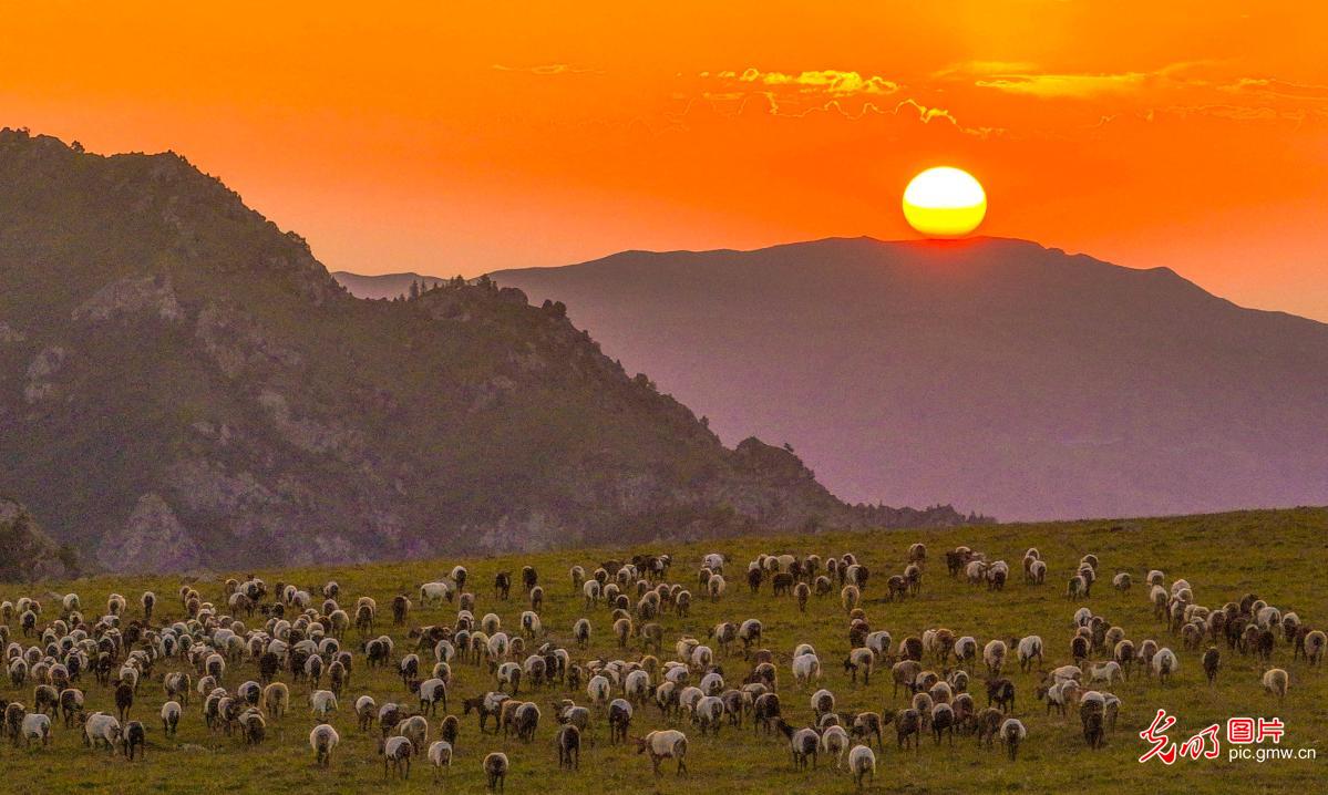Morning light unveils the beauty of Xiaritala Grassland in NW China's Gansu