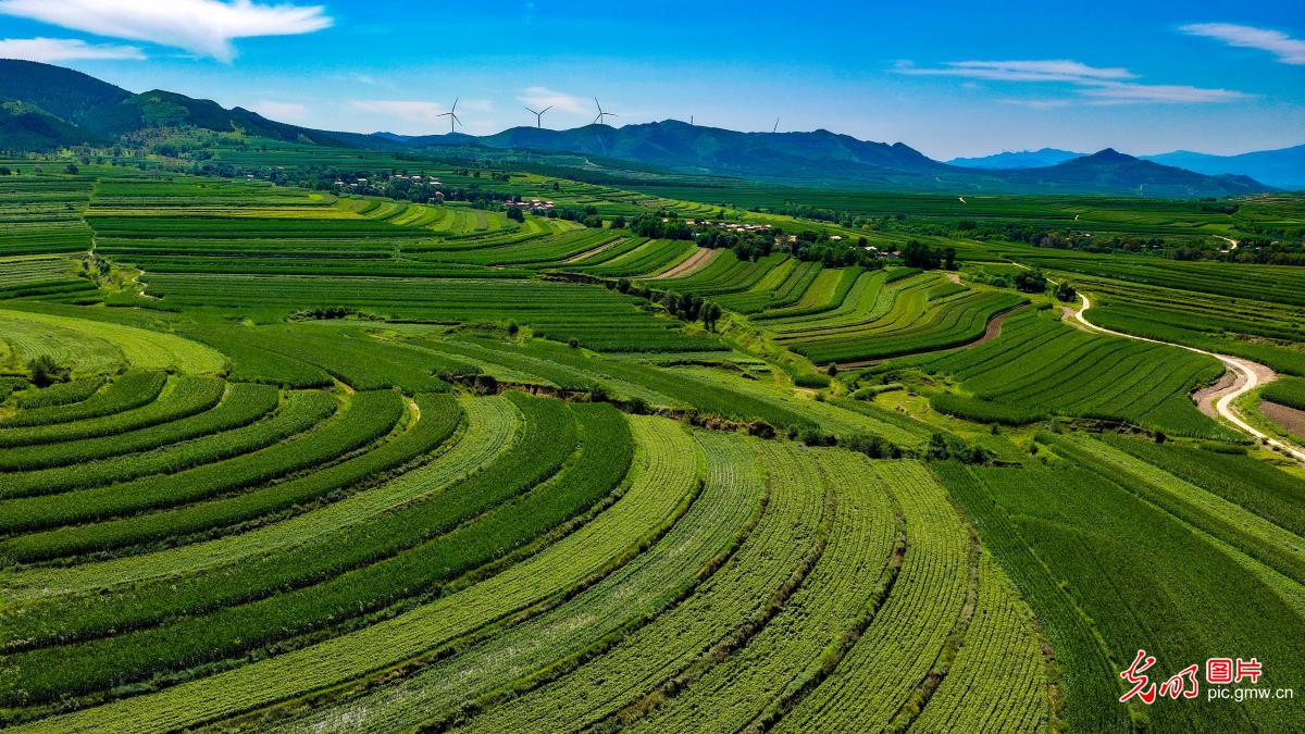 Autumn scenery in Chifeng City, N China's Inner Mongolia