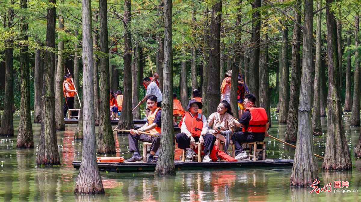 Exploring Hongze Lake Wetland by bamboo raft