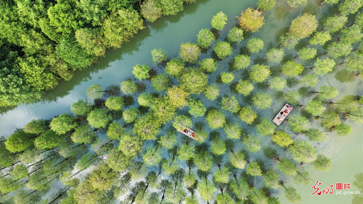 Exploring Hongze Lake Wetland by bamboo raft