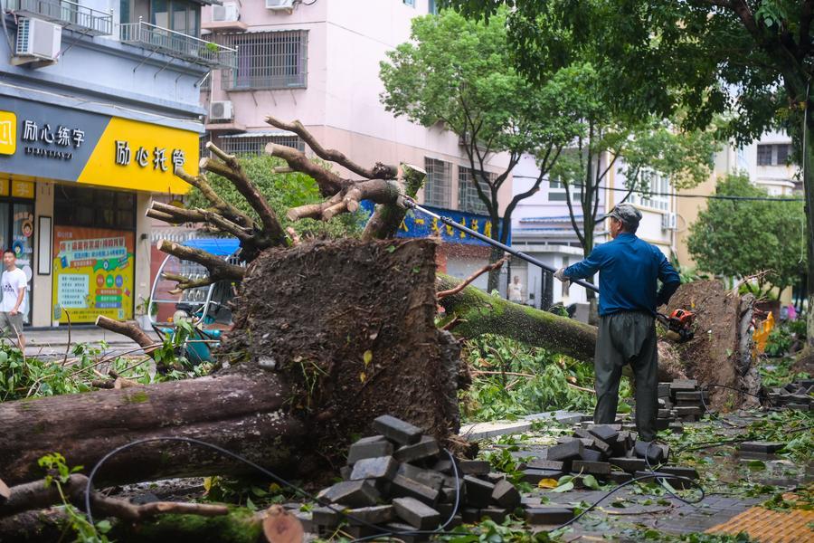 Typhoon Dolphin inflicts downpours on multiple regions in China