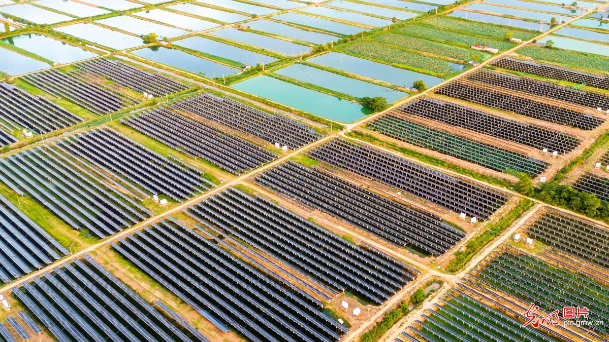 Photovoltaic panels shine over Poyang Lake in E China's Jiangxi Photovoltaic panels shine over Poyang Lake in E China's Jiangxi