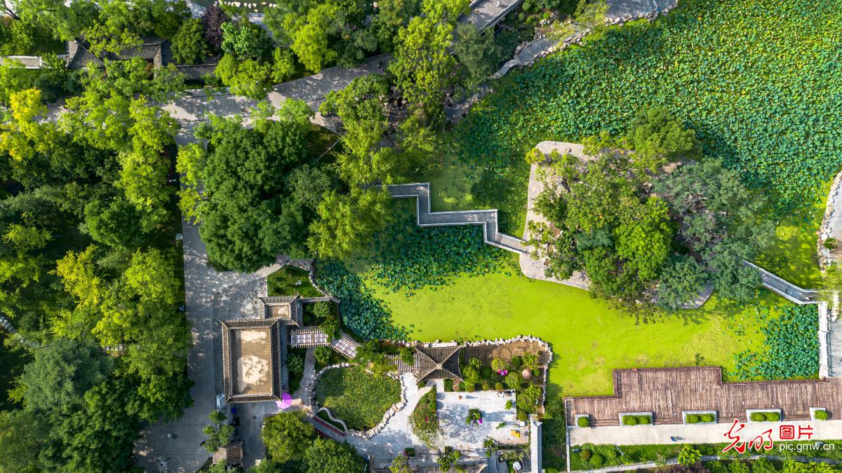 Green spaces add vibrancy to urban life in NW China's Shaanxi Green spaces add vibrancy to urban life in NW China's Shaanxi