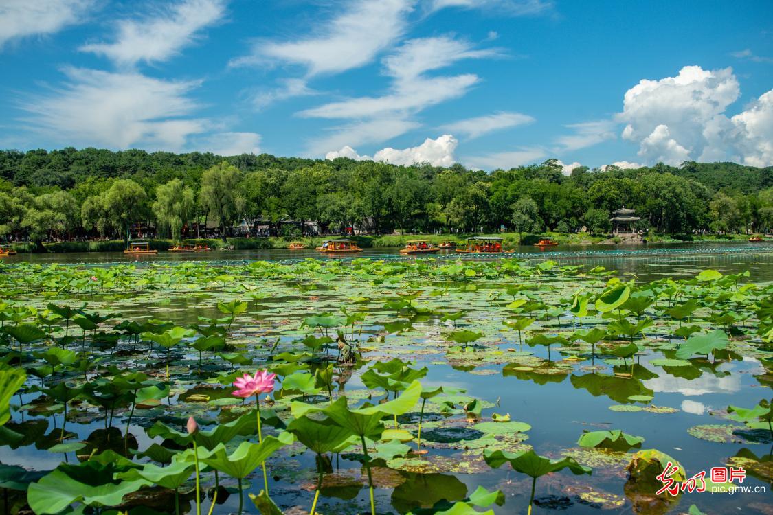Cooler weather draws visitors to Chengde's Mountain Resort in N China's Hebei Cooler weather draws visitors to Chengde's Mountain Resort in N China's Hebei