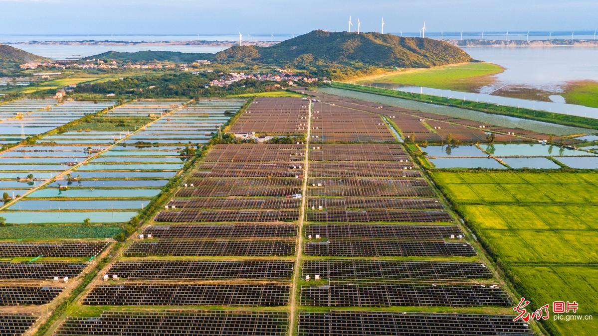 Photovoltaic panels shine over Poyang Lake in E China's Jiangxi Photovoltaic panels shine over Poyang Lake in E China's Jiangxi