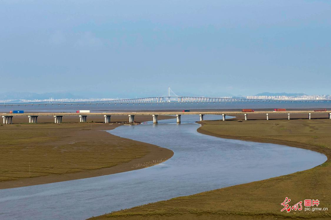 Vibrant red beach creates stunning ecological scene in E China's Shandong Vibrant red beach creates stunning ecological scene in E China's Shandong