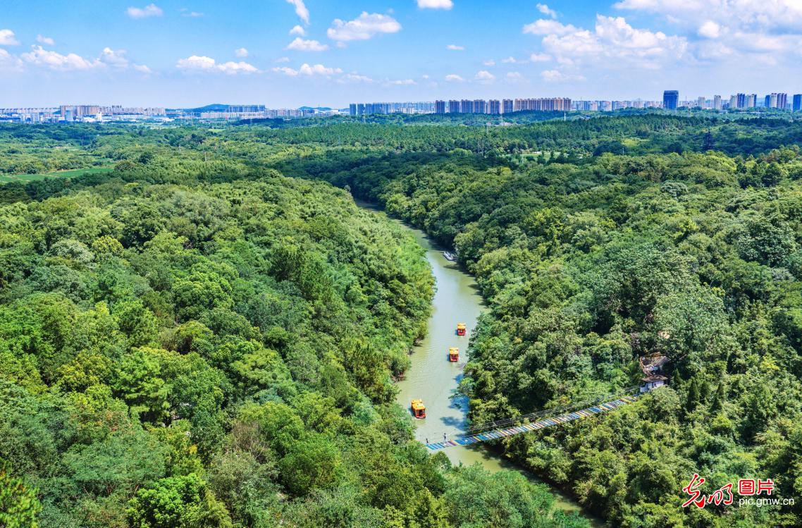 Scenic boat ride along Yanzhi River in Nanjing