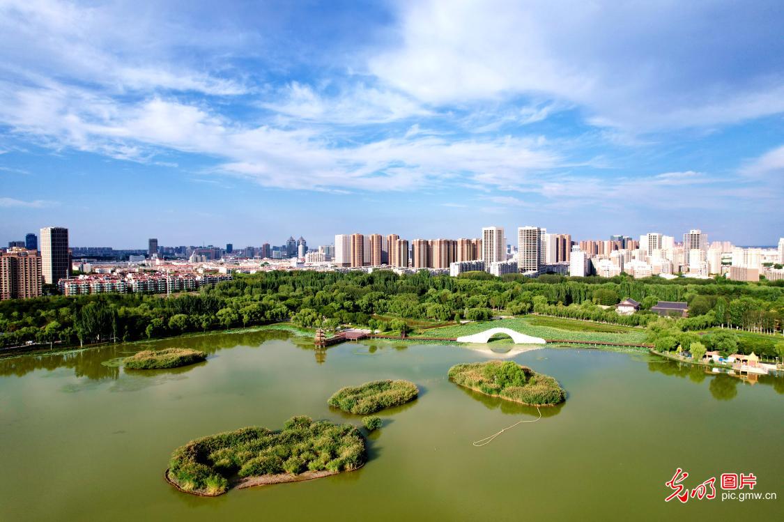 Lush wetland scenery in Yinchuan, China's Ningxia