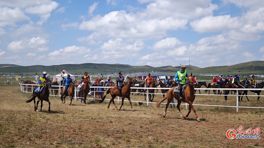Horse racing and equestrian performances highlight Naadam Festival