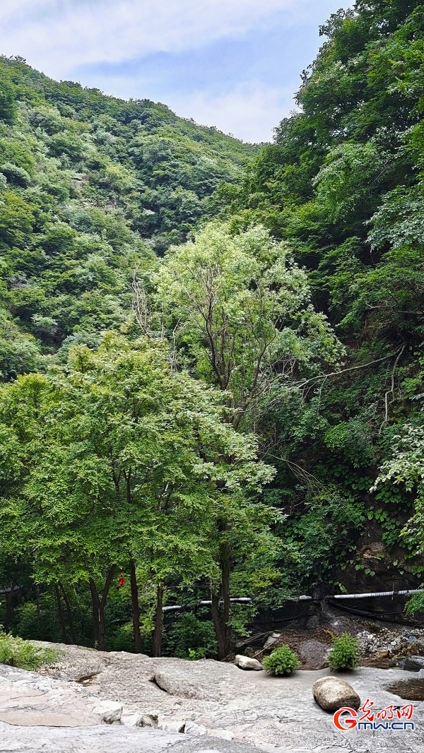 Photo taken on June 14, 2026 shows the early summer scenery of Lianquan Xianggu Valley in Huairou District, Beijing, China's capital city. The lush mountains, flowing streams and verdant landscape create a refreshing natural scene. (Wang Xinyuan/Guangming Picture)