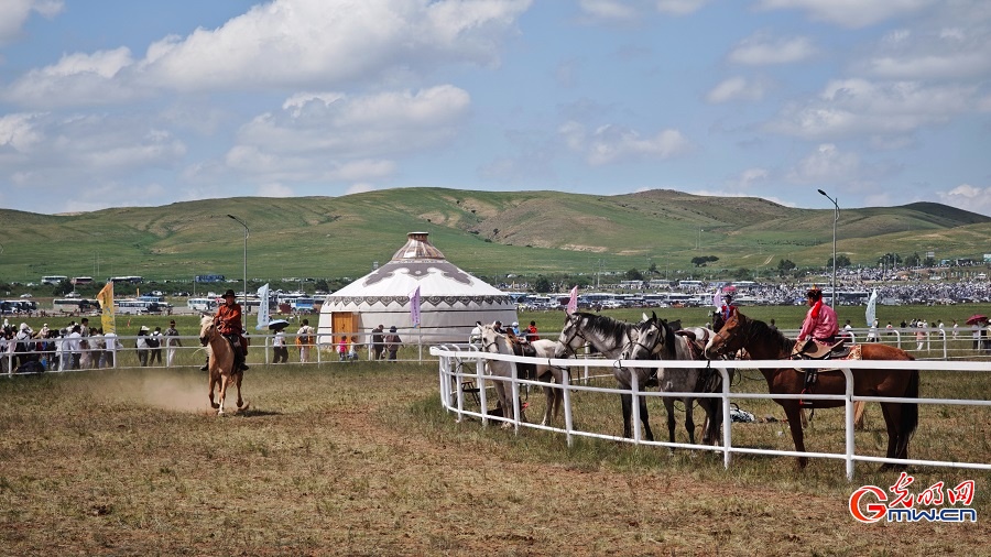Horse racing and equestrian performances highlight Naadam Festival