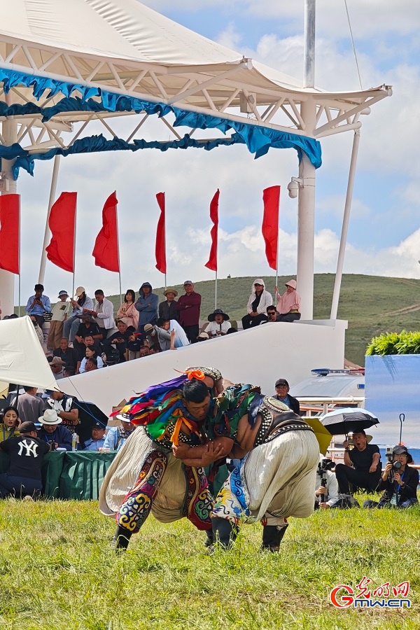 Bökh wrestling features Naadam Festival in N China's Inner Mongolia Bökh wrestling features Naadam Festival in N China's Inner Mongolia