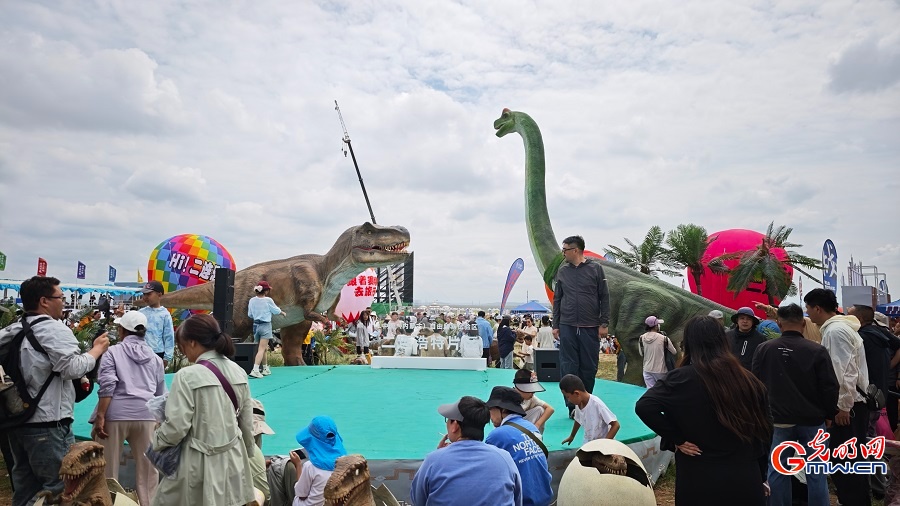Visitors enjoy Naadam Festival activities Visitors enjoy Naadam Festival activities