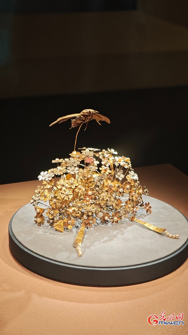 Exhibition explores treasures from tomb illuminating Sui Dynasty